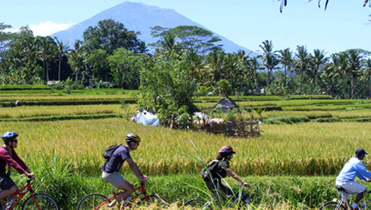 eco cycling tour