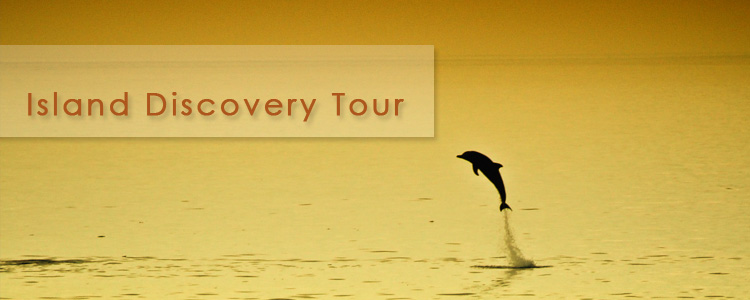 Bali Island Tour