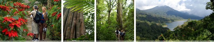 jungle trek