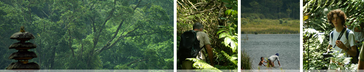 jungle trek