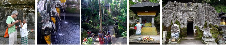 eco tour