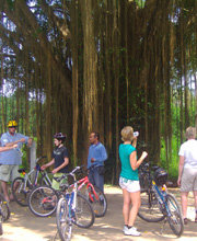 bali eco.jpg
